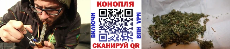 Конопля сатива  как найти наркотики  Ардон 